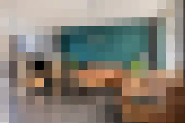 Godfried Bomanslaan 21 Bladel thumbnail 9