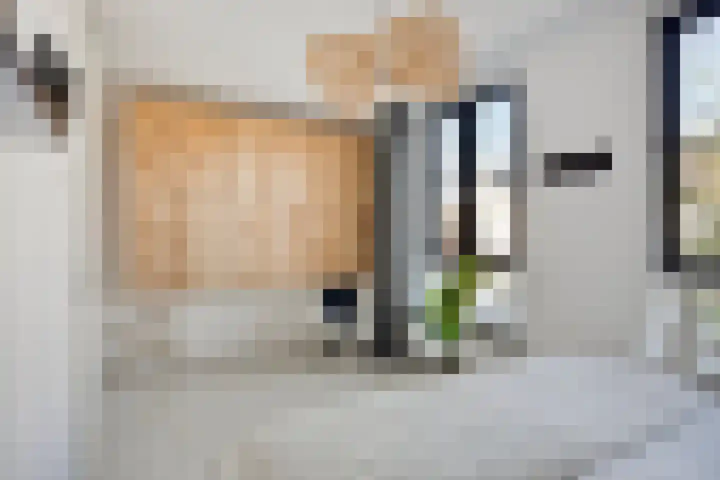 Godfried Bomanspad 10 Middelharnis thumbnail 16