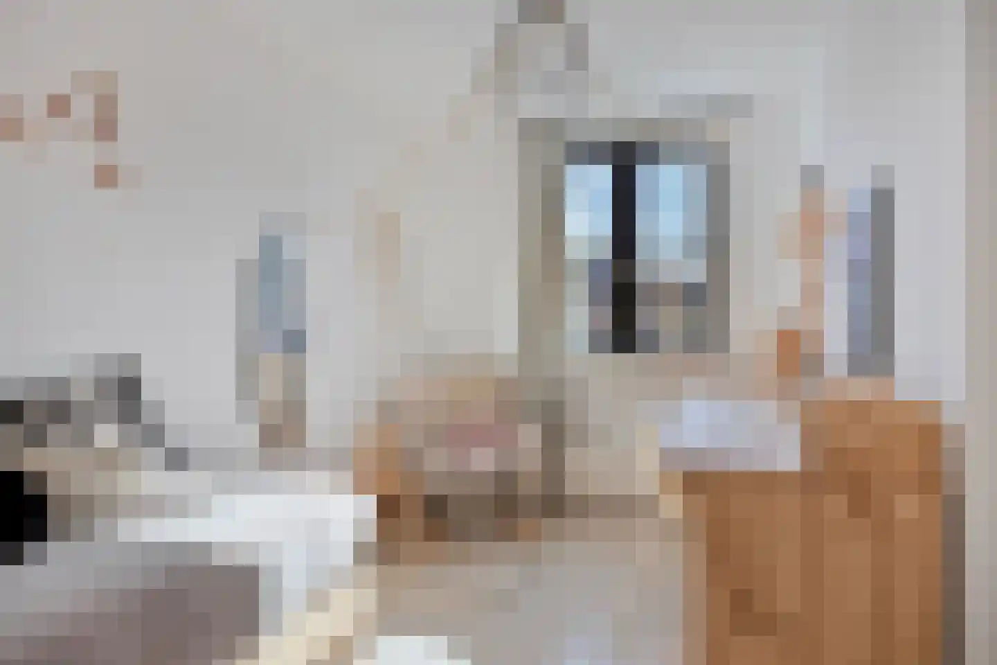 Godfried Bomanspad 10 Middelharnis thumbnail 19