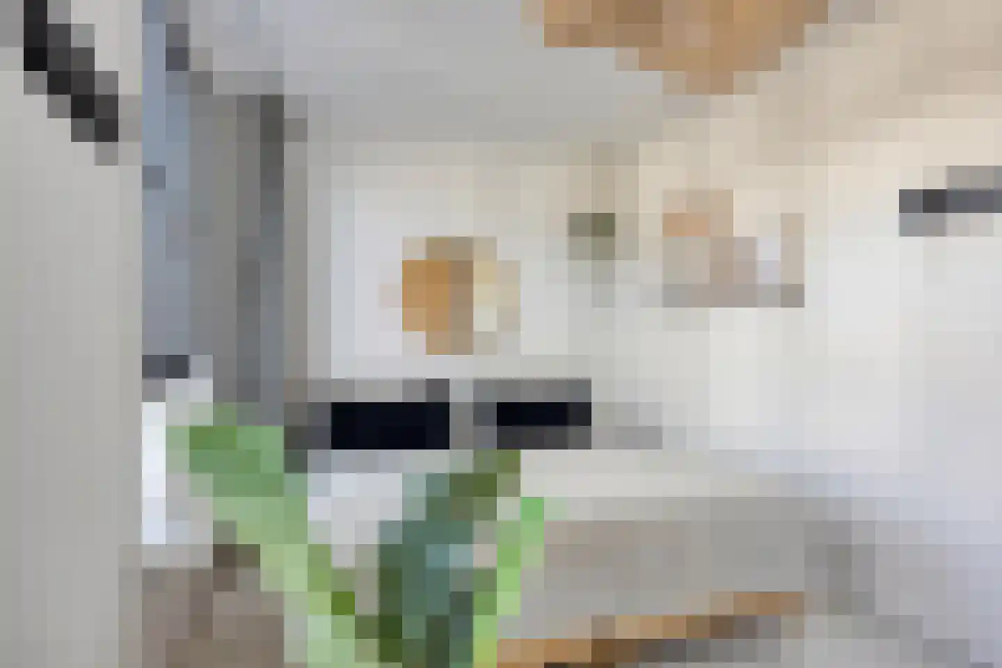 Godfried Bomanspad 10 Middelharnis thumbnail 4