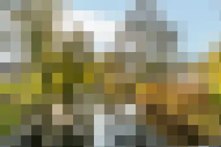 Godfried Bomansstraat 39 Almere thumbnail 32