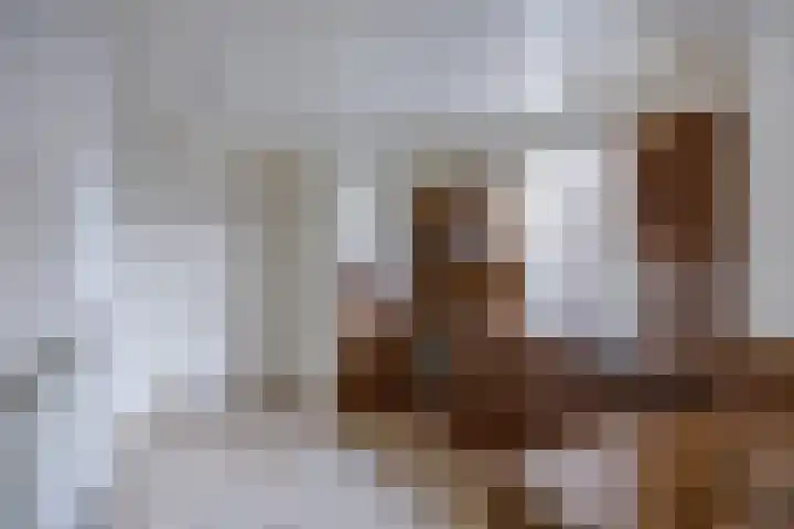 Godfriedstraat 1 Cuijk thumbnail 11