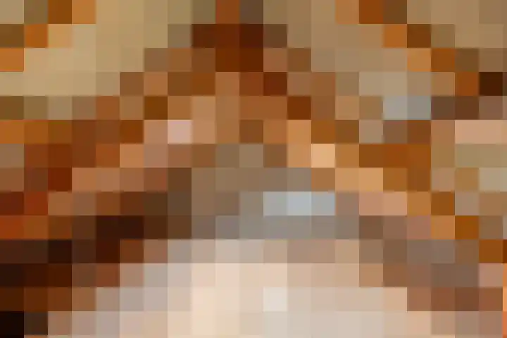 Godfriedstraat 1 Cuijk thumbnail 28