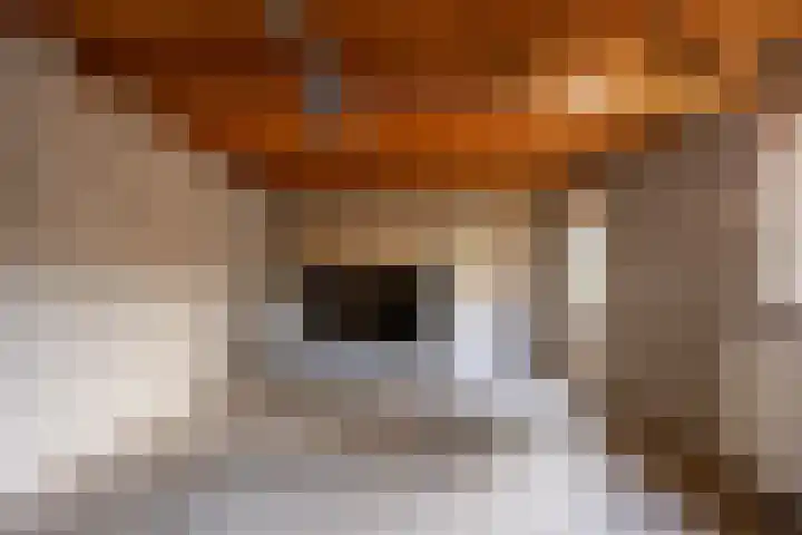 Godfriedstraat 1 Cuijk thumbnail 36