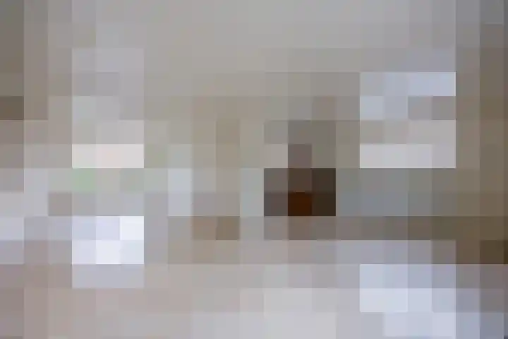 Godfriedstraat 1 Cuijk thumbnail 8
