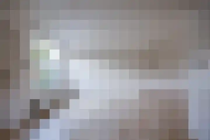 Godfriedstraat 1 Cuijk thumbnail 9