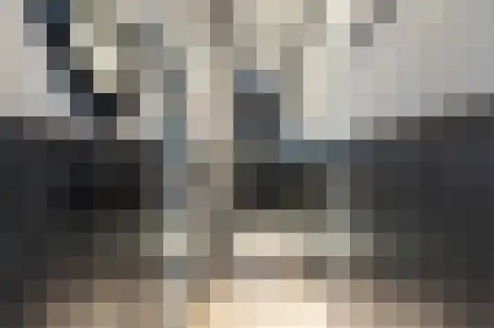 Godsacker 37 Franeker thumbnail 14