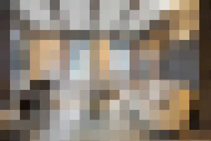 Godsacker 37 Franeker thumbnail 20