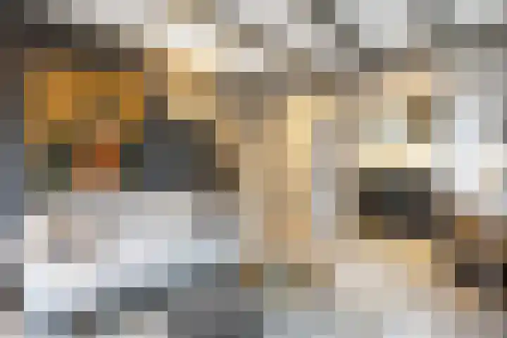 Godsacker 37 Franeker thumbnail 23