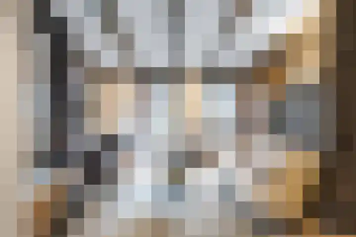 Godsacker 37 Franeker thumbnail 25
