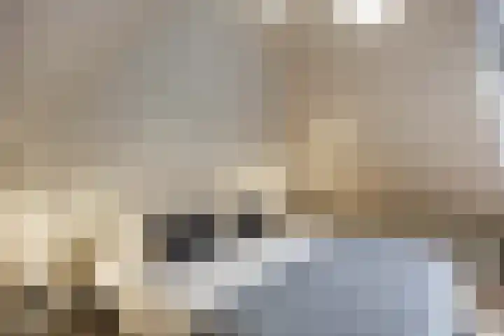 Godsacker 37 Franeker thumbnail 39