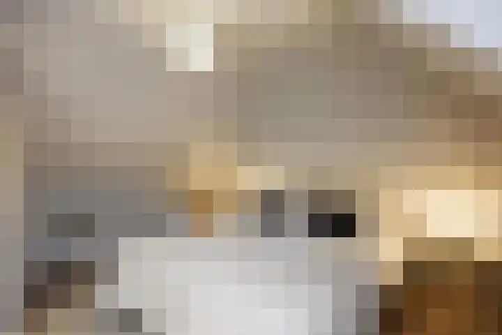 Godsacker 37 Franeker thumbnail 40