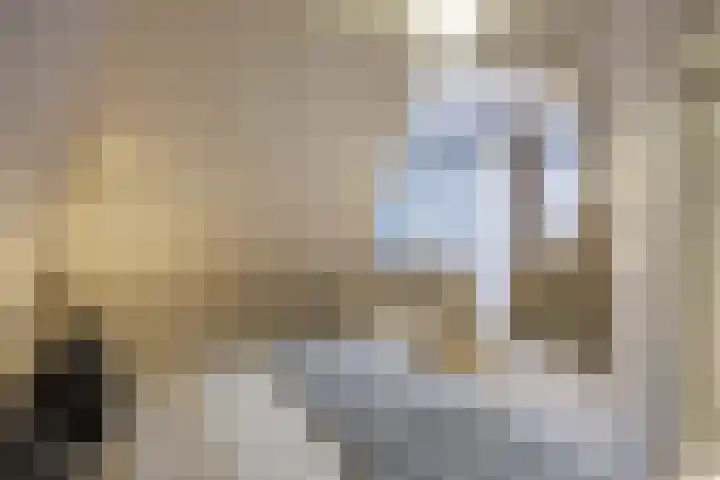 Godsacker 37 Franeker thumbnail 41