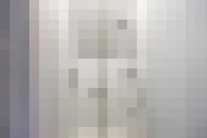 Godsacker 37 Franeker thumbnail 44