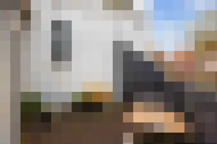 Godsacker 37 Franeker thumbnail 49