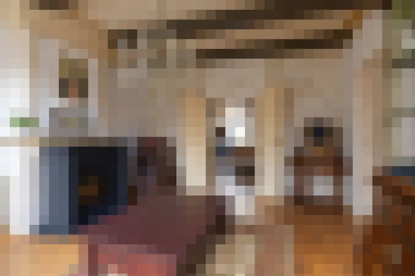 Godsacker 9 Franeker thumbnail 19