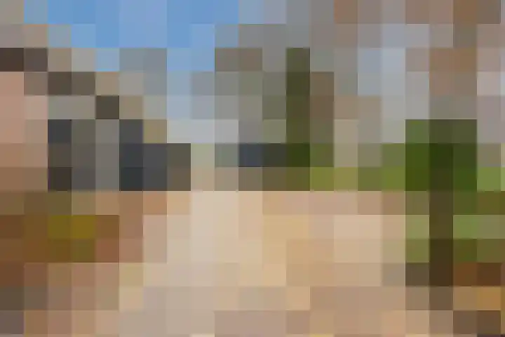 Godsacker 9 Franeker thumbnail 26