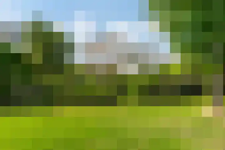 Godsacker 9 Franeker thumbnail 42