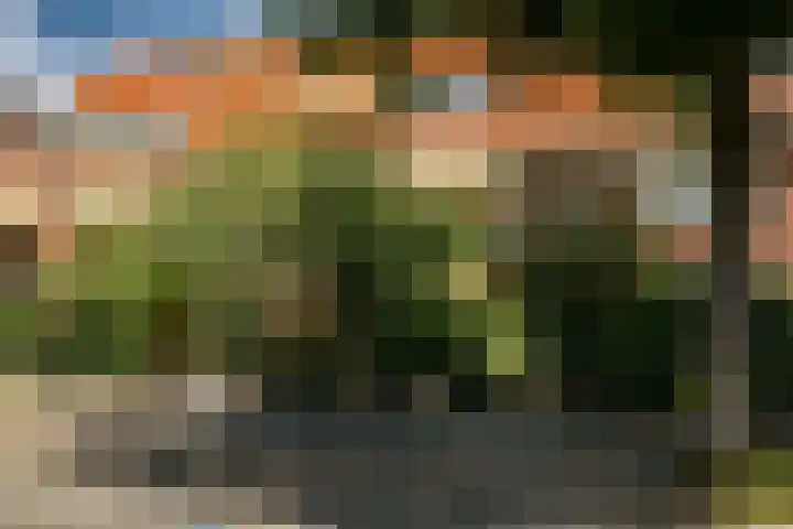 Goedewerf 111 Almere thumbnail 30