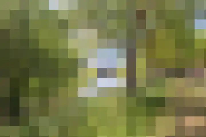 Goedewerf 111 Almere thumbnail 30