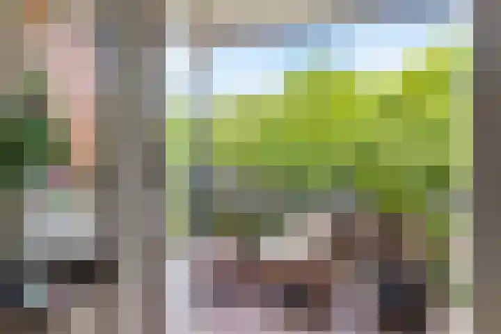 Goedewerf 143 Almere thumbnail 19