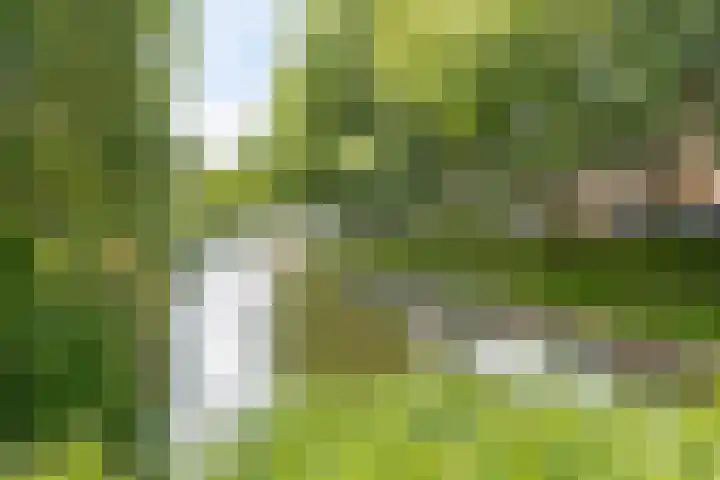 Goedewerf 143 Almere thumbnail 21