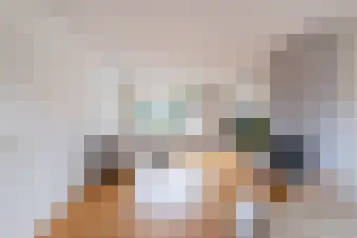 Goeman Borgesiuslaan 33 Sneek thumbnail 18