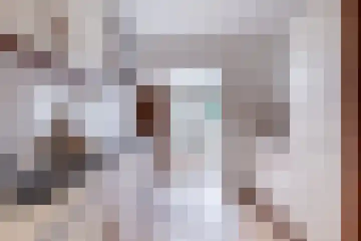 Goeman Borgesiuslaan 33 Sneek thumbnail 23