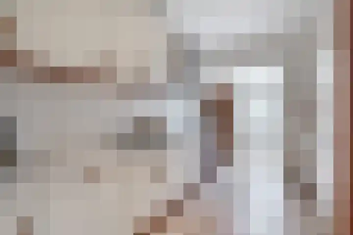 Goeman Borgesiuslaan 33 Sneek thumbnail 24