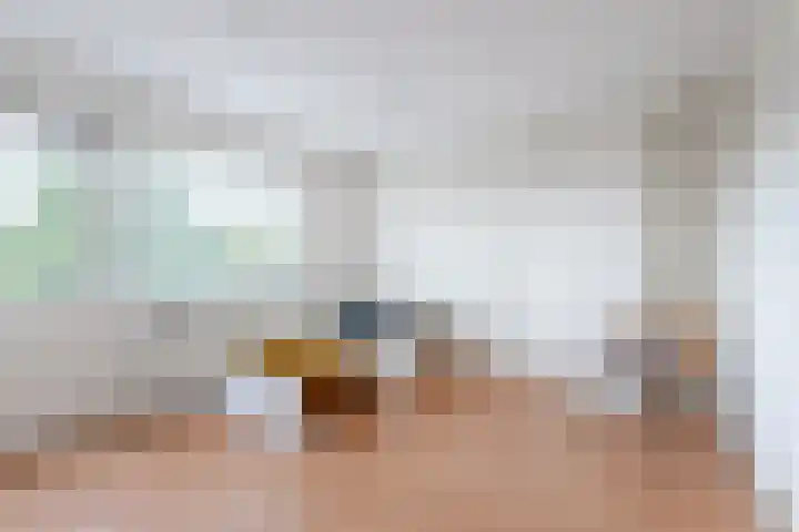Goeman Borgesiuslaan 33 Sneek thumbnail 5