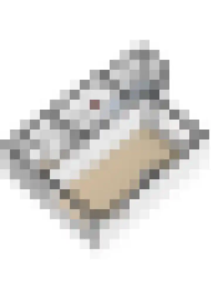 Goeman Borgesiuslaan 33 Sneek thumbnail 50