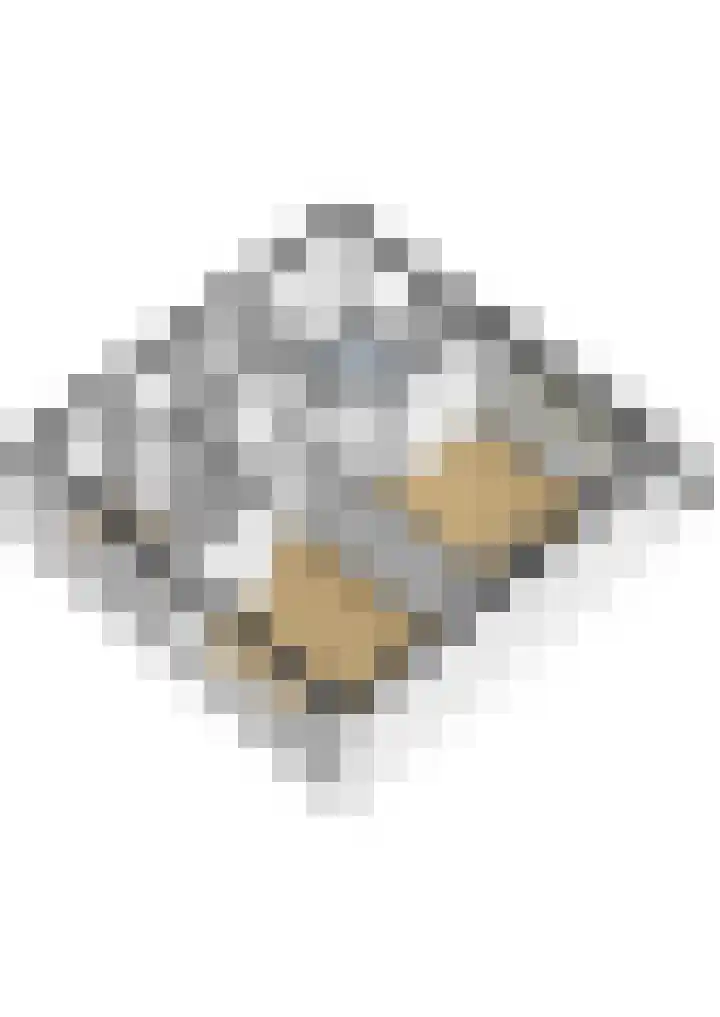 Goeman Borgesiuslaan 33 Sneek thumbnail 52