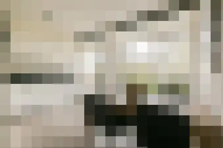 Goereesepad 57 Amstelveen thumbnail 8