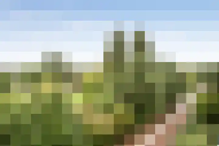Goereesepad 97 Amstelveen thumbnail 12