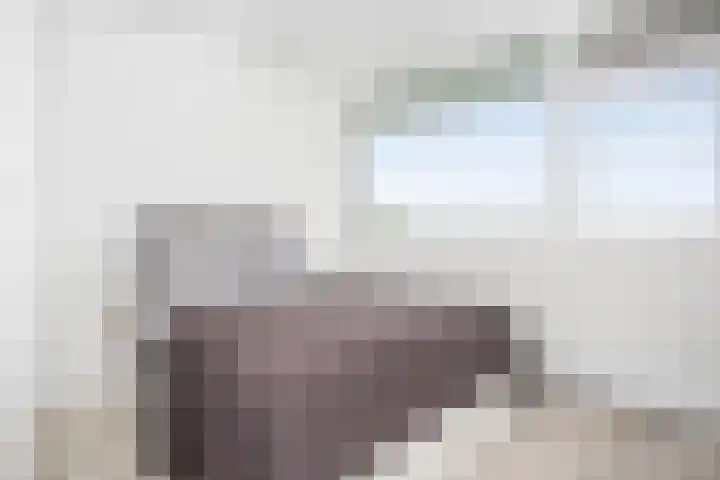 Goereesepad 97 Amstelveen thumbnail 9