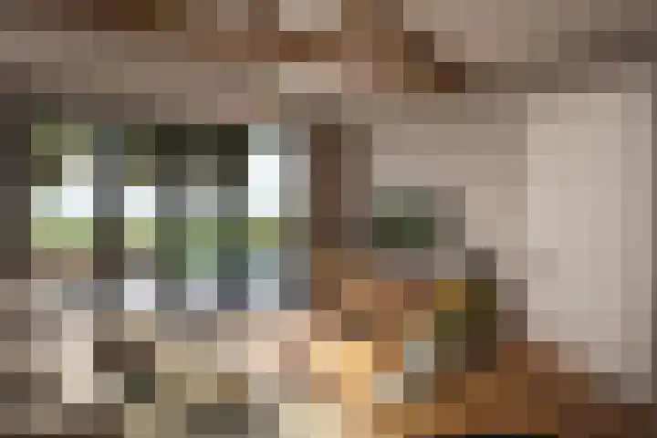 Goethelaan 156 Almere thumbnail 5