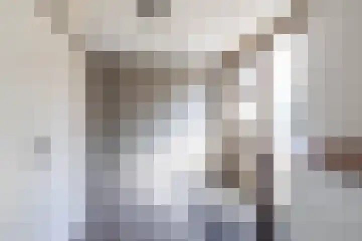 Goldbergsingel 20 Leek thumbnail 16