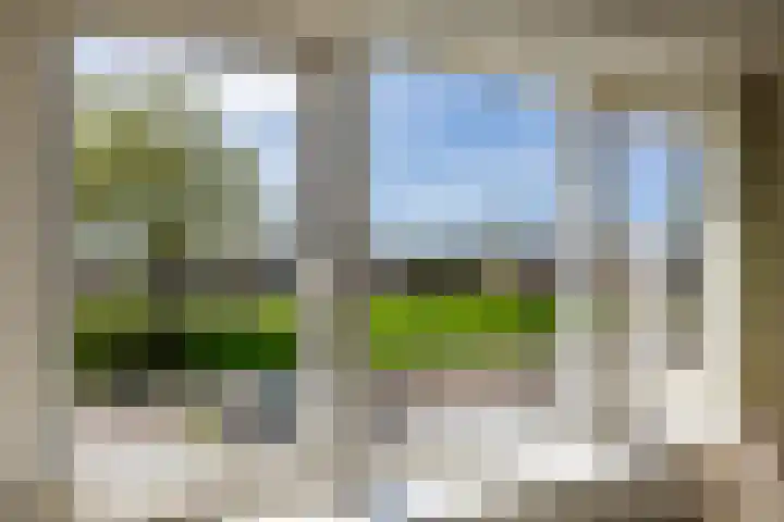 Goldbergsingel 20 Leek thumbnail 29
