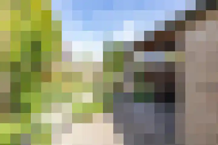 Goldbergsingel 20 Leek thumbnail 36