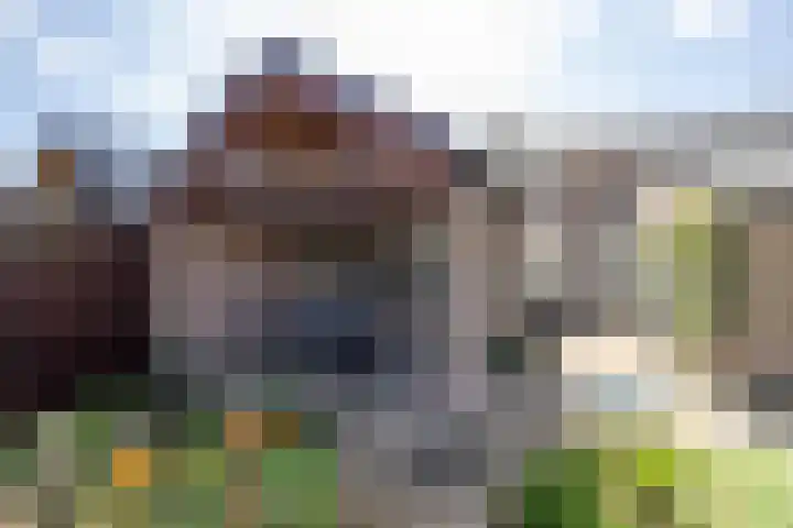 Goldbergsingel 20 Leek thumbnail 37