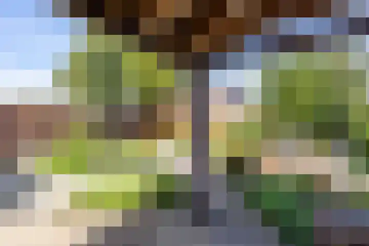 Goldbergsingel 20 Leek thumbnail 39
