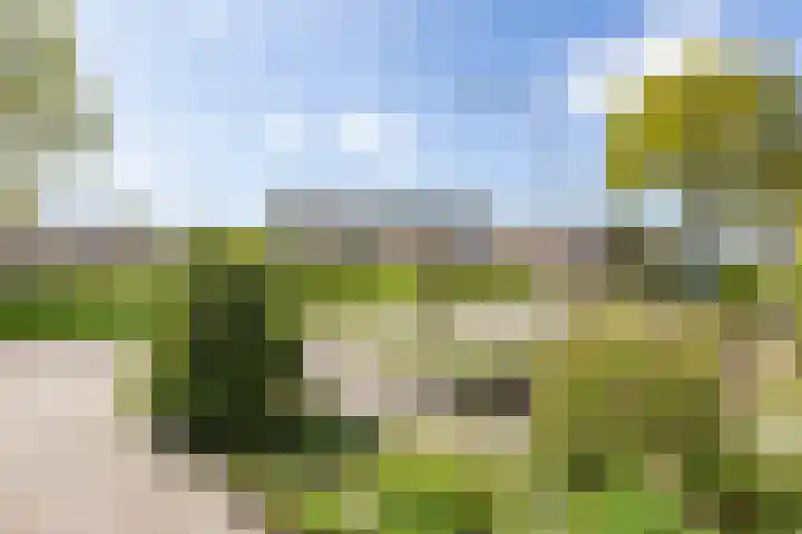 Goldbergsingel 20 Leek thumbnail 4