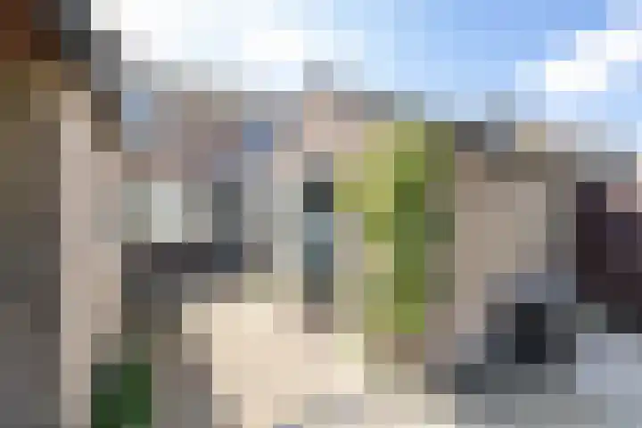 Goldbergsingel 20 Leek thumbnail 42
