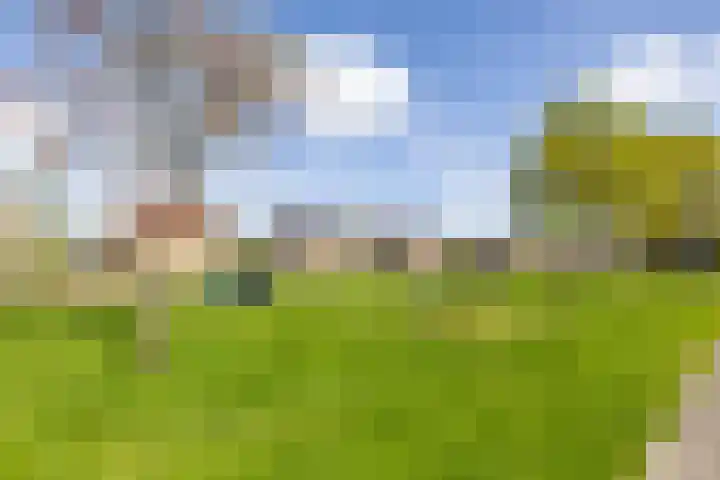 Goldbergsingel 20 Leek thumbnail 49