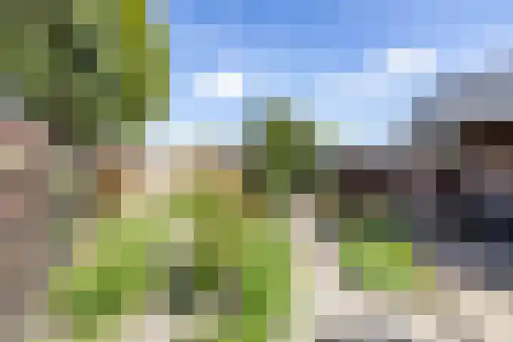Goldbergsingel 20 Leek thumbnail 5