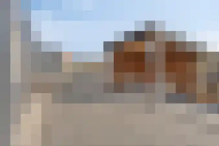 Goldbergsingel 24 Leek thumbnail 23
