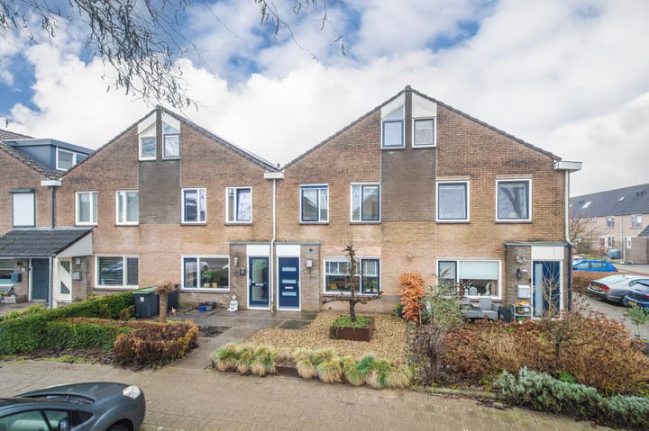 Golden Delicious 107 in Duiven