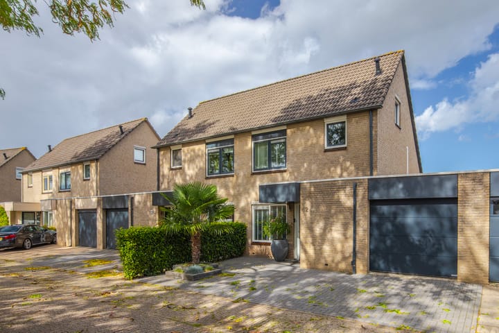 Golden Delicious 42 in Duiven foto