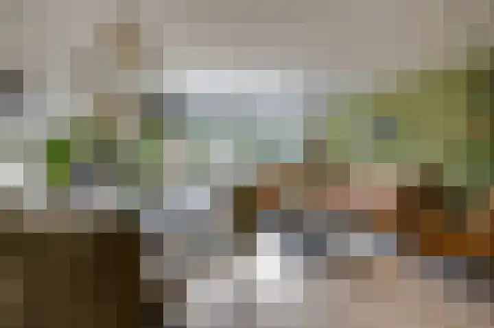 Golden Delicious 9 Duiven thumbnail 13