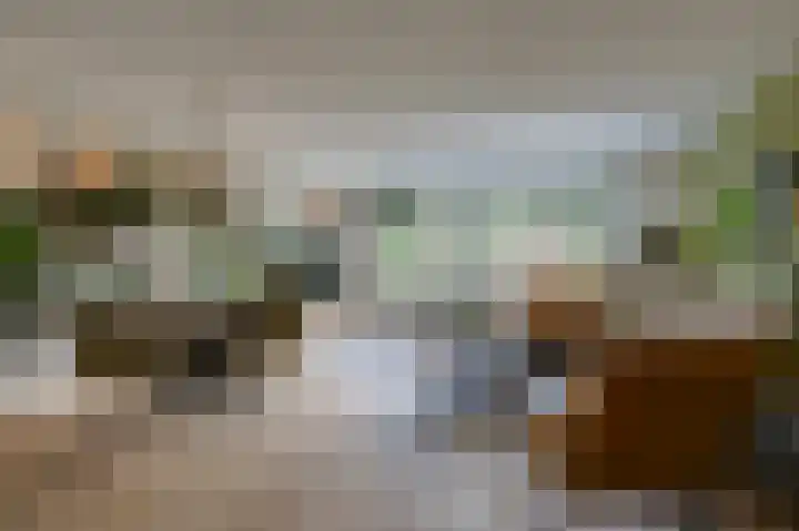 Golden Delicious 9 Duiven thumbnail 14
